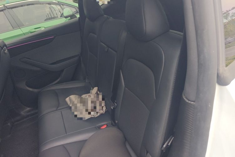Used Tesla Model Y 2025 Rear-Wheel Drive First Edition Left Rear Seat