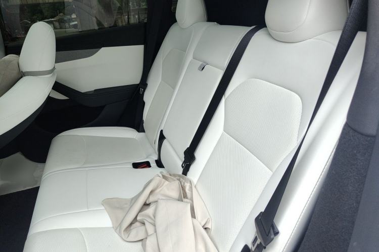 Used Tesla Model Y 2025 Long-Range All-Wheel-Drive Version Left Rear Seat
