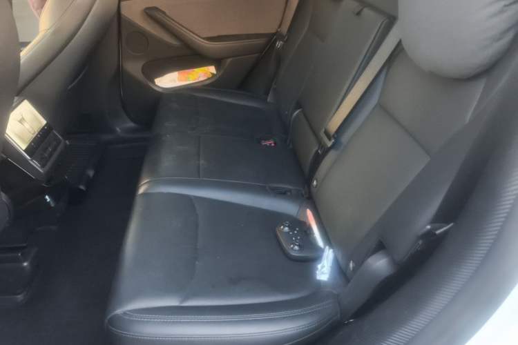 Used Tesla Model Y 2025 Rear-Wheel Drive First Edition Left Rear Seat