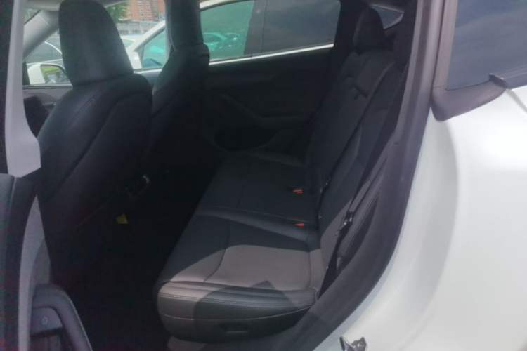 Used Tesla Model Y 2025 Long-Range All-Wheel Drive First Edition Left Rear Seat