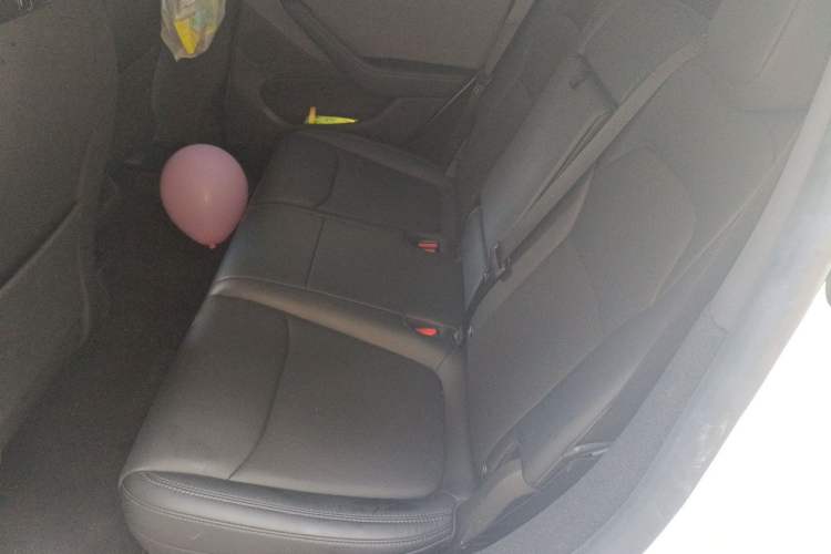 Used Tesla Model Y 2025 Rear-Wheel-Drive Version Left Rear Seat