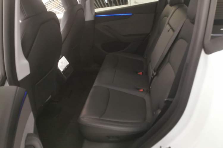 Used Tesla Model Y 2025 Rear-Wheel-Drive Version Left Rear Seat