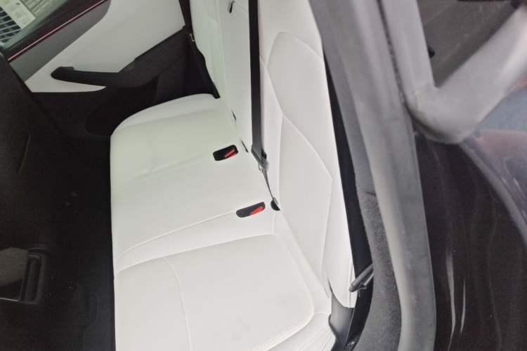 Used Tesla Model Y 2025 Long-Range All-Wheel Drive First Edition Left Rear Seat