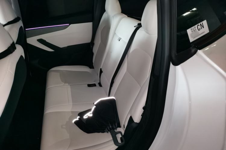 Used Tesla Model Y 2025 Long-Range All-Wheel Drive First Edition Left Rear Seat