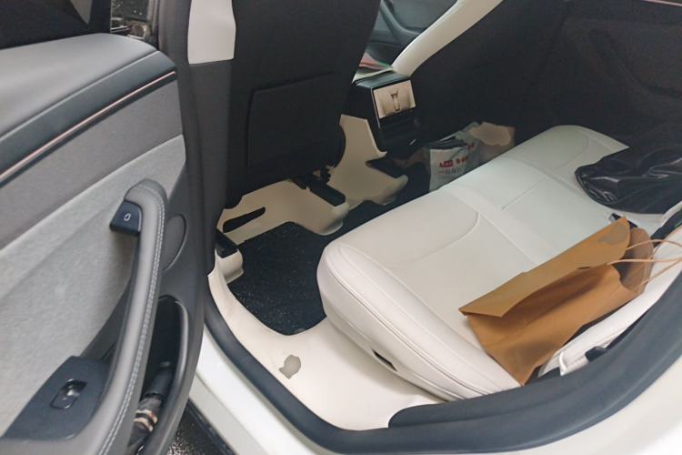 Used Tesla Model Y 2025 Rear-Wheel-Drive Version Left Rear Seat