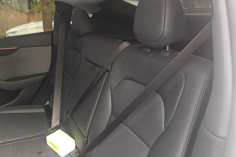 Used Tesla Model Y 2025 Rear-Wheel Drive First Edition Left Rear Seat