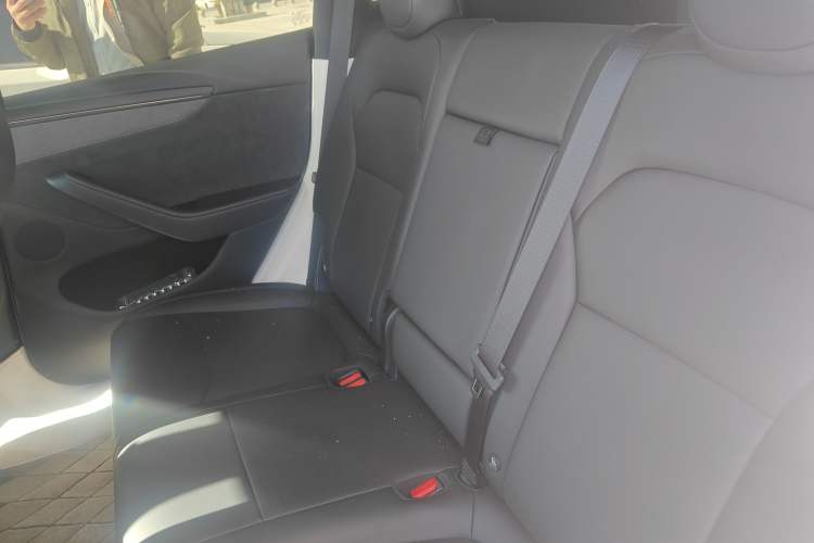 Used Tesla Model Y 2025 Long-Range All-Wheel Drive First Edition Left Rear Seat