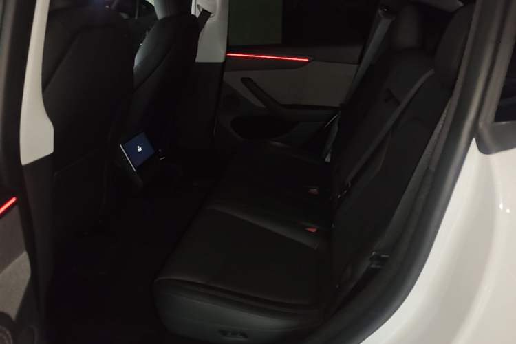 Used Tesla Model Y 2025 Rear-Wheel-Drive Version Left Rear Seat