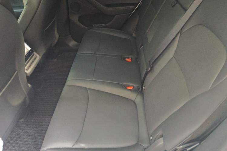 Used Tesla Model Y 2025 Updated Version Long-Range All-Wheel Drive Left Rear Seat