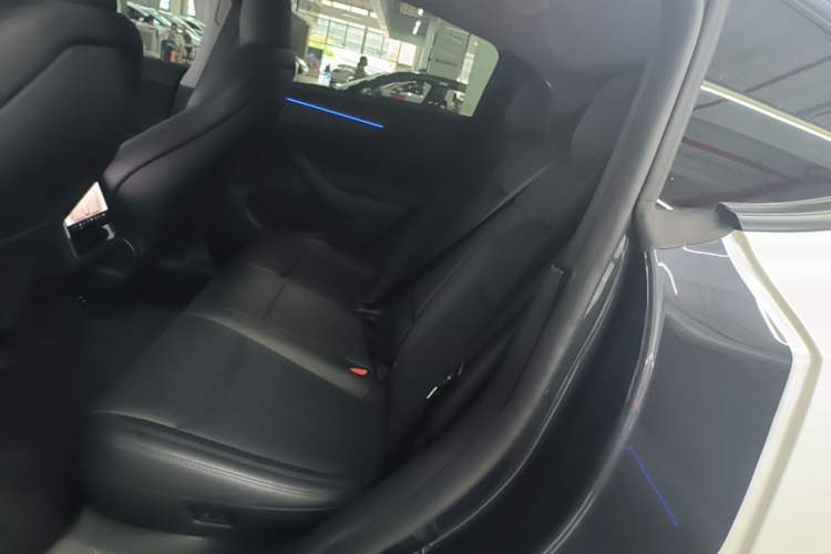 Used Tesla Model Y 2025 Long-Range All-Wheel Drive First Edition Left Rear Seat