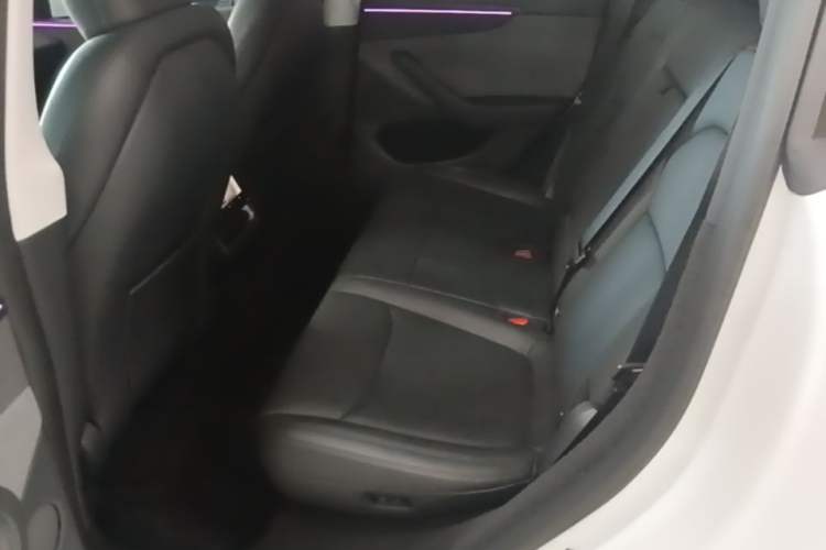 Used Tesla Model Y 2025 Rear-Wheel Drive First Edition Left Rear Seat