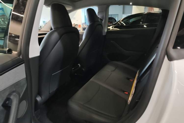 Used Tesla Model Y 2025 Long-Range All-Wheel Drive First Edition Left Rear Seat