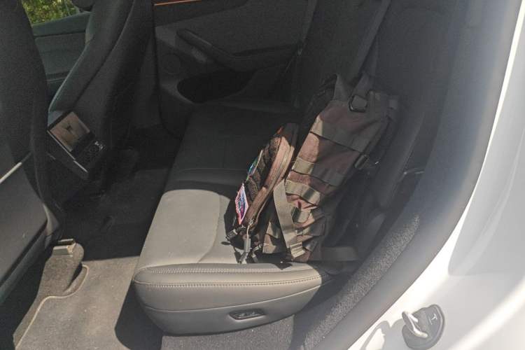 Used Tesla Model Y 2025 Rear-Wheel-Drive Version Left Rear Seat