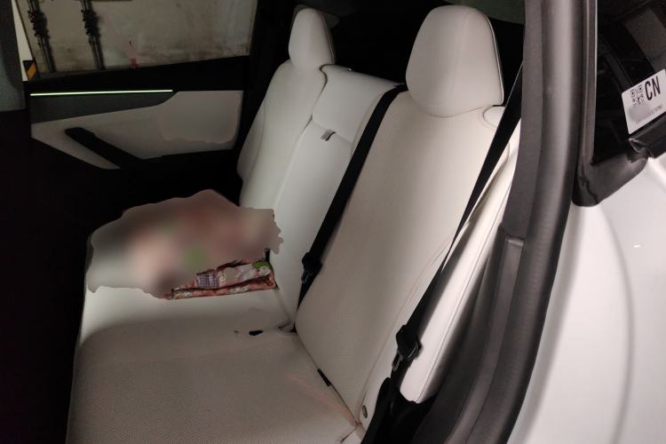 Used Tesla Model Y 2025 Updated Version Long-Range All-Wheel Drive Left Rear Seat