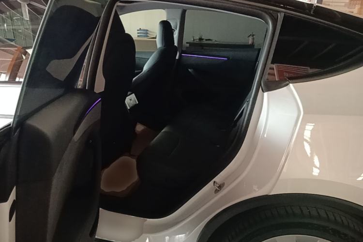 Used Tesla Model Y 2025 Updated Version Long-Range All-Wheel Drive Left Rear Seat