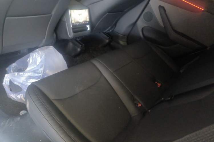 Used Tesla Model Y 2025 Rear-Wheel Drive First Edition Left Rear Seat