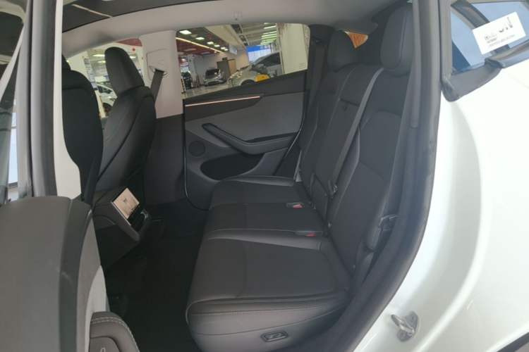Used Tesla Model Y 2025 Rear-Wheel-Drive Version Left Rear Seat