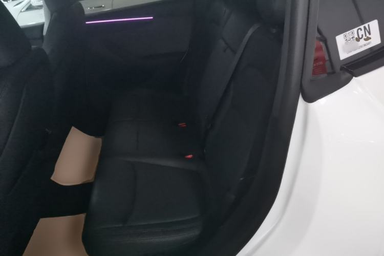 Used Tesla Model Y 2025 Rear-Wheel Drive First Edition Left Rear Seat