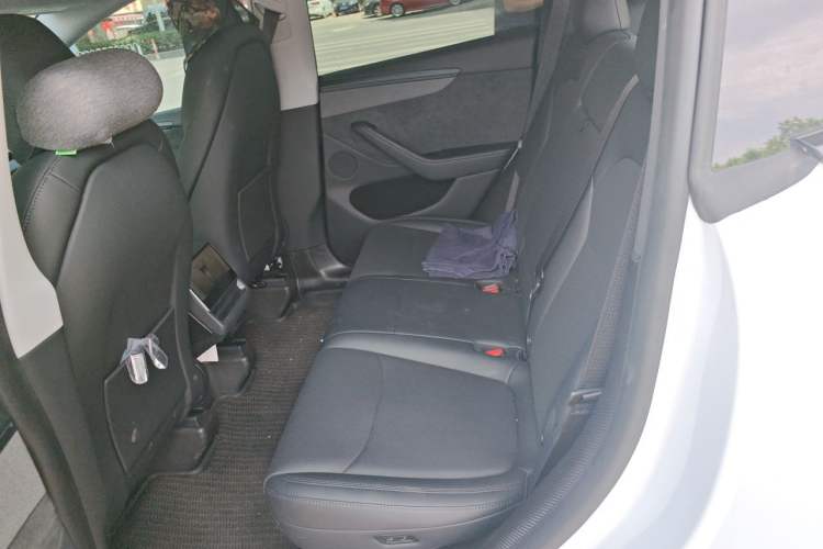 Used Tesla Model Y 2025 Updated Version Long-Range All-Wheel Drive Left Rear Seat