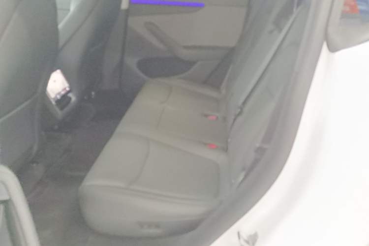 Used Tesla Model Y 2025 Rear-Wheel-Drive Version Left Rear Seat