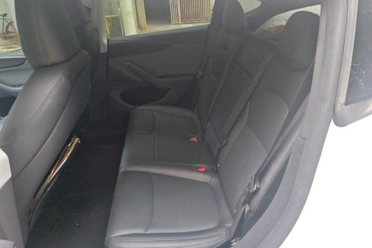 Used Tesla Model Y 2025 Rear-Wheel-Drive Version Left Rear Seat