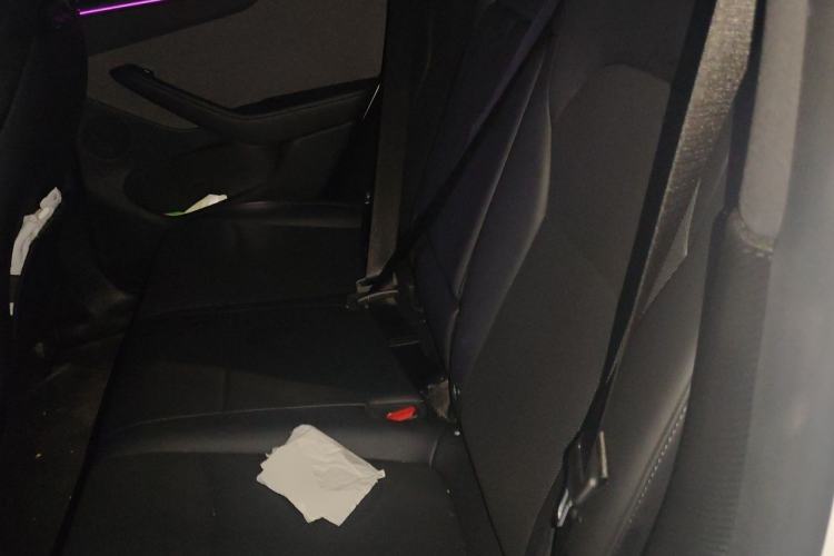 Used Tesla Model Y 2025 Rear-Wheel-Drive Version Left Rear Seat