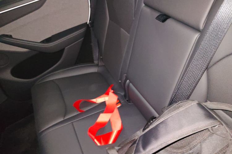 Used Tesla Model Y 2025 Rear-Wheel-Drive Version Left Rear Seat