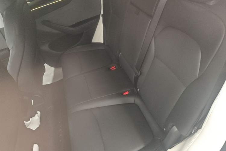 Used Tesla Model Y 2025 Rear-Wheel-Drive Version Left Rear Seat