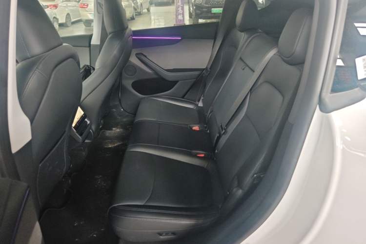 Used Tesla Model Y 2025 Rear-Wheel Drive First Edition Left Rear Seat