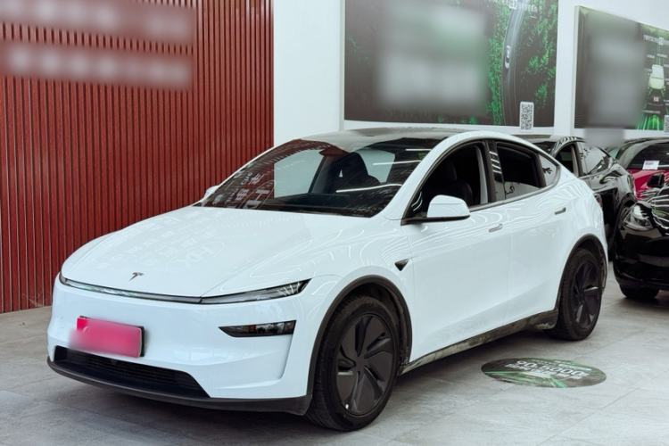 Tesla Model Y 2025 Updated Version Long-Range All-Wheel Drive