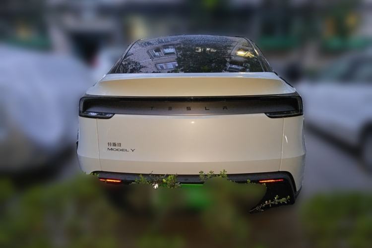 Used Tesla Model Y 2025 Rear-Wheel-Drive Version Rear