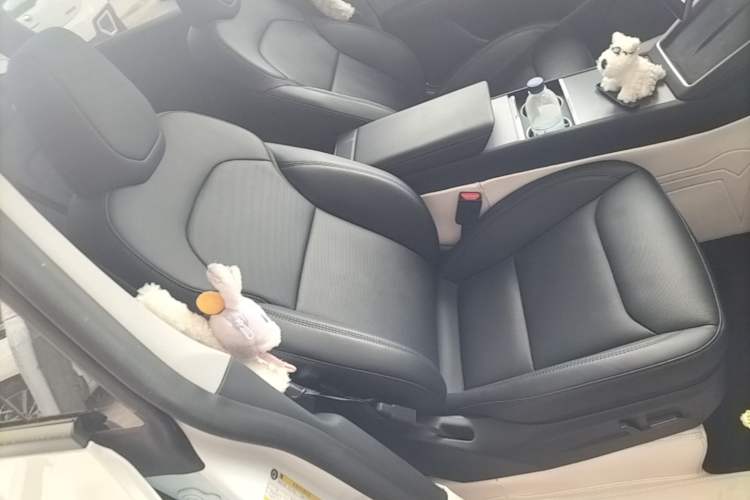 Used Tesla Model Y 2025 Rear-Wheel Drive First Edition Right Front Seat