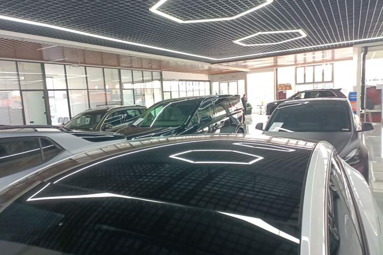 Used Tesla Model Y 2025 Long-Range All-Wheel-Drive Version Roof
