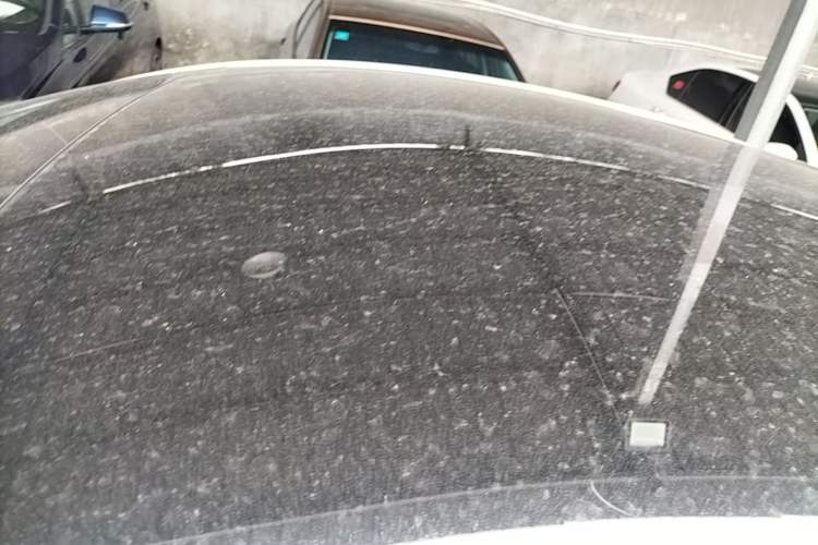 Used Tesla Model Y 2025 Rear-Wheel Drive First Edition Roof