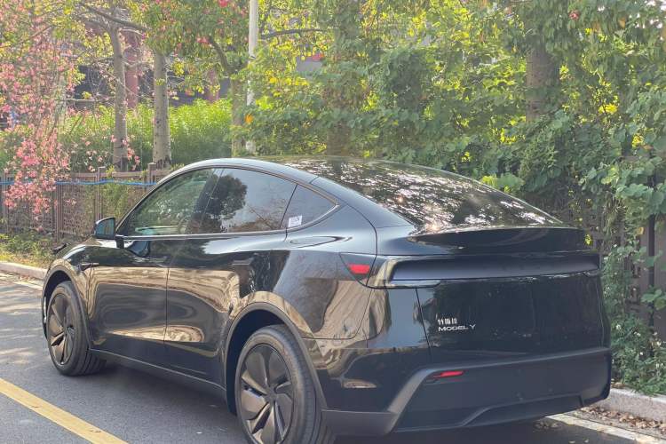Used Tesla Model Y 2026 Rear-Drive Model Exterior 6
