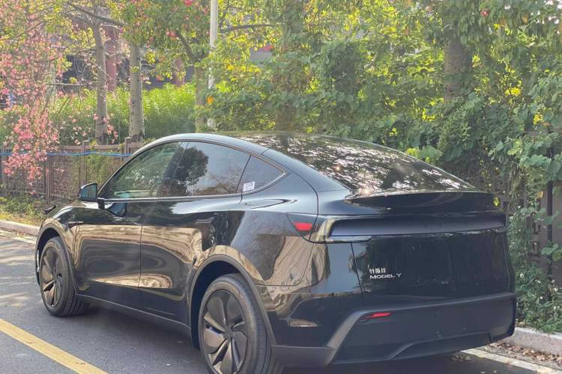 Used Tesla Model Y 2026 Rear-Drive Model Exterior 6