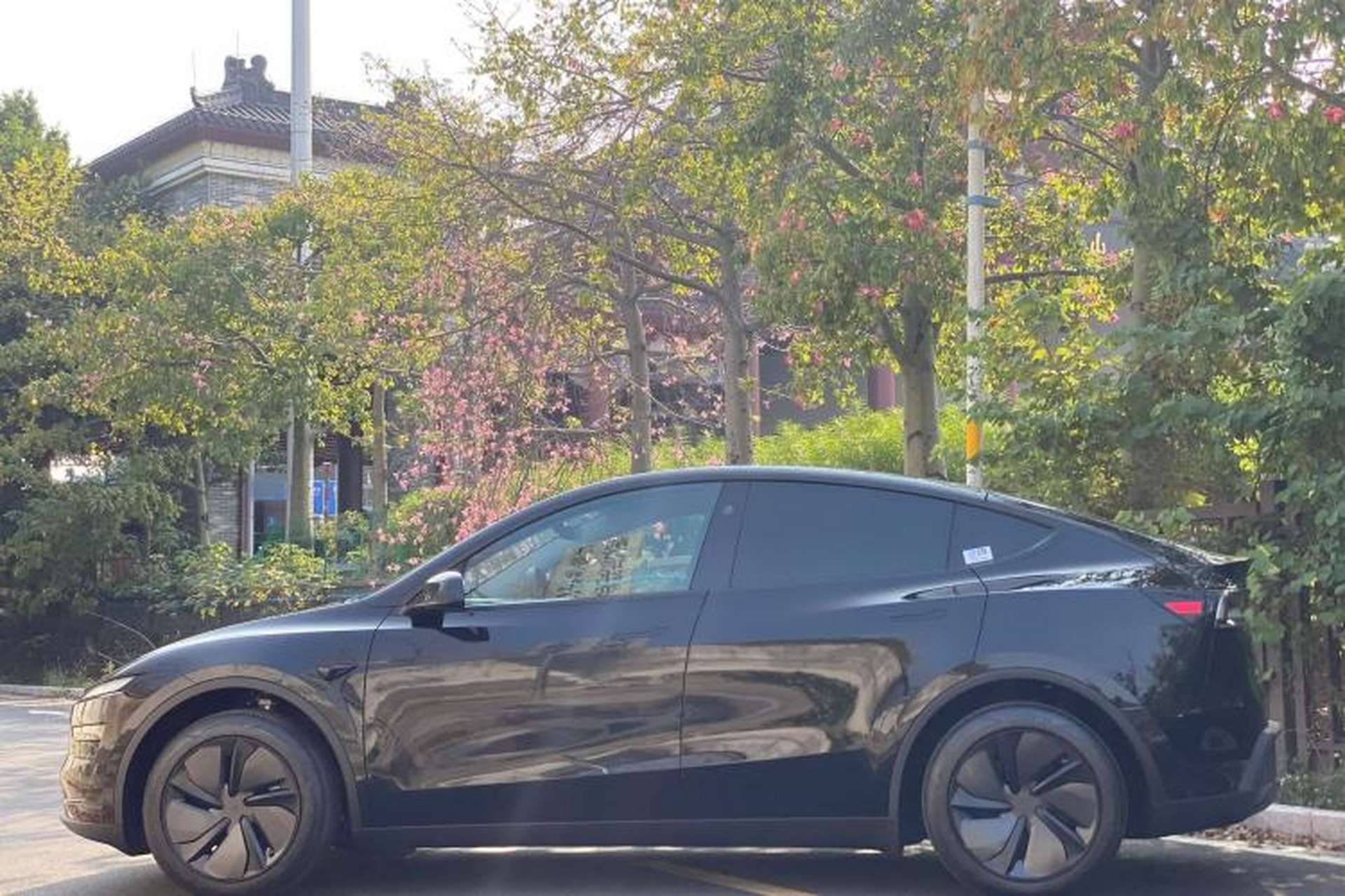 Used Tesla Model Y 2026 Rear-Drive Model Exterior 7