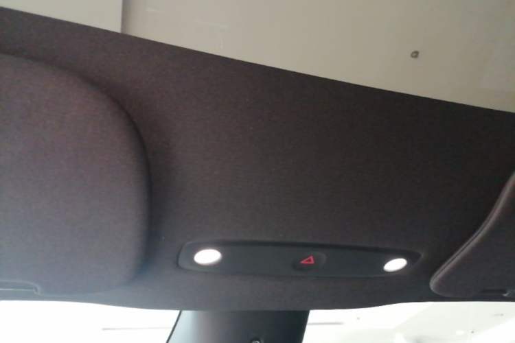 Used Tesla Model Y 2026 Model Long-Range Rear-Wheel-Drive Version Headliner