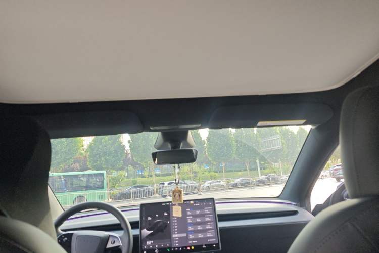 Used Tesla Model Y 2026 Rear-Drive Model Headliner