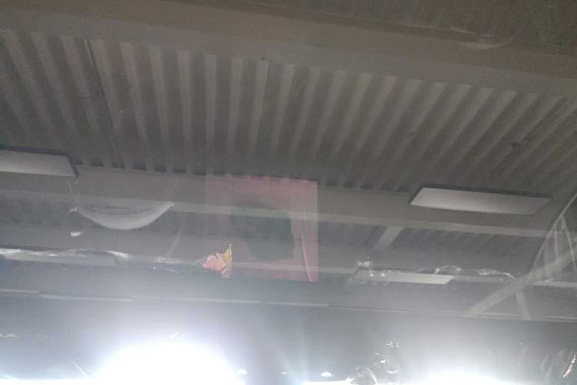 Used Tesla Model Y 2026 Rear-Drive Model Headliner