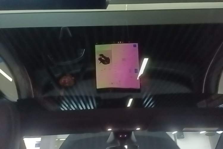Used Tesla Model Y 2026 Rear-Drive Model Headliner