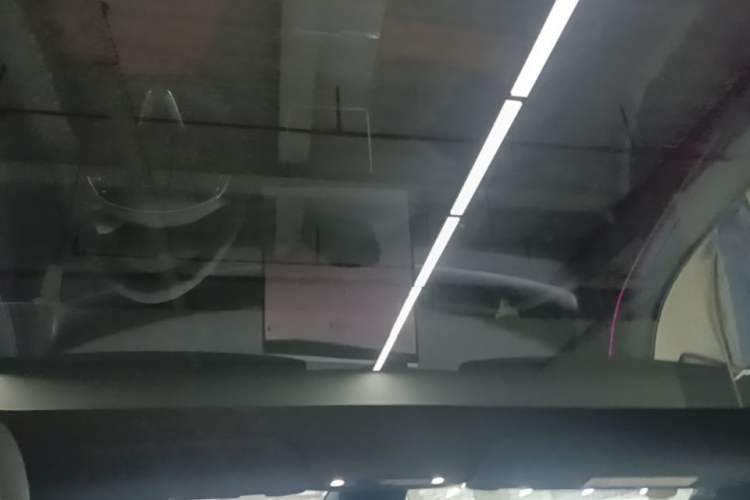 Used Tesla Model Y 2026 Rear-Drive Model Headliner