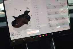 Thumbnail 17