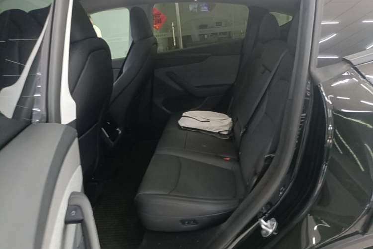 Used Tesla Model Y 2026 Model Long-Range Rear-Wheel-Drive Version Left Rear Seat