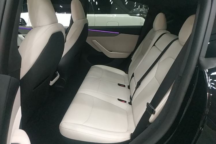 Used Tesla Model Y 2026 Long-Range All-Wheel-Drive Model Left Rear Seat