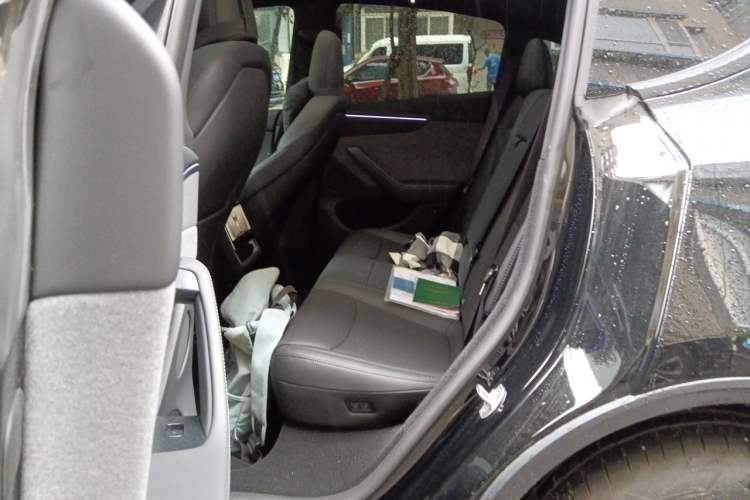 Used Tesla Model Y 2026 Model Long-Range Rear-Wheel-Drive Version Left Rear Seat