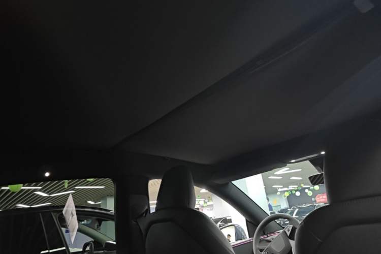 Used Tesla Model Y 2026 Model Long-Range Rear-Wheel-Drive Version Headliner