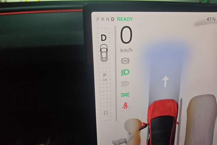 Used Tesla Model Y 2026 Rear-Drive Model Gear Lever