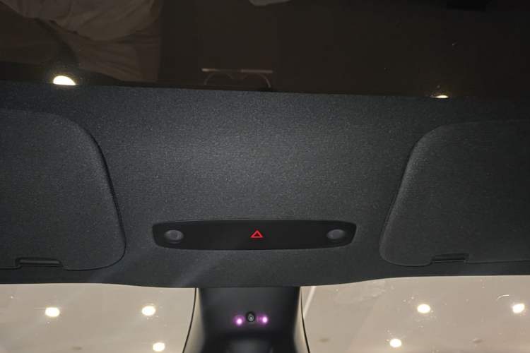 Used Tesla Model Y 2026 Rear-Drive Model Headliner