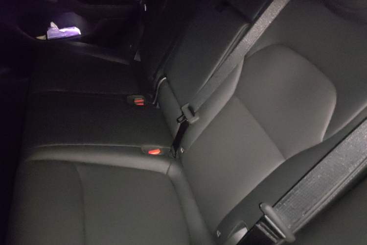 Used Tesla Model Y 2026 Model Long-Range Rear-Wheel-Drive Version Left Rear Seat